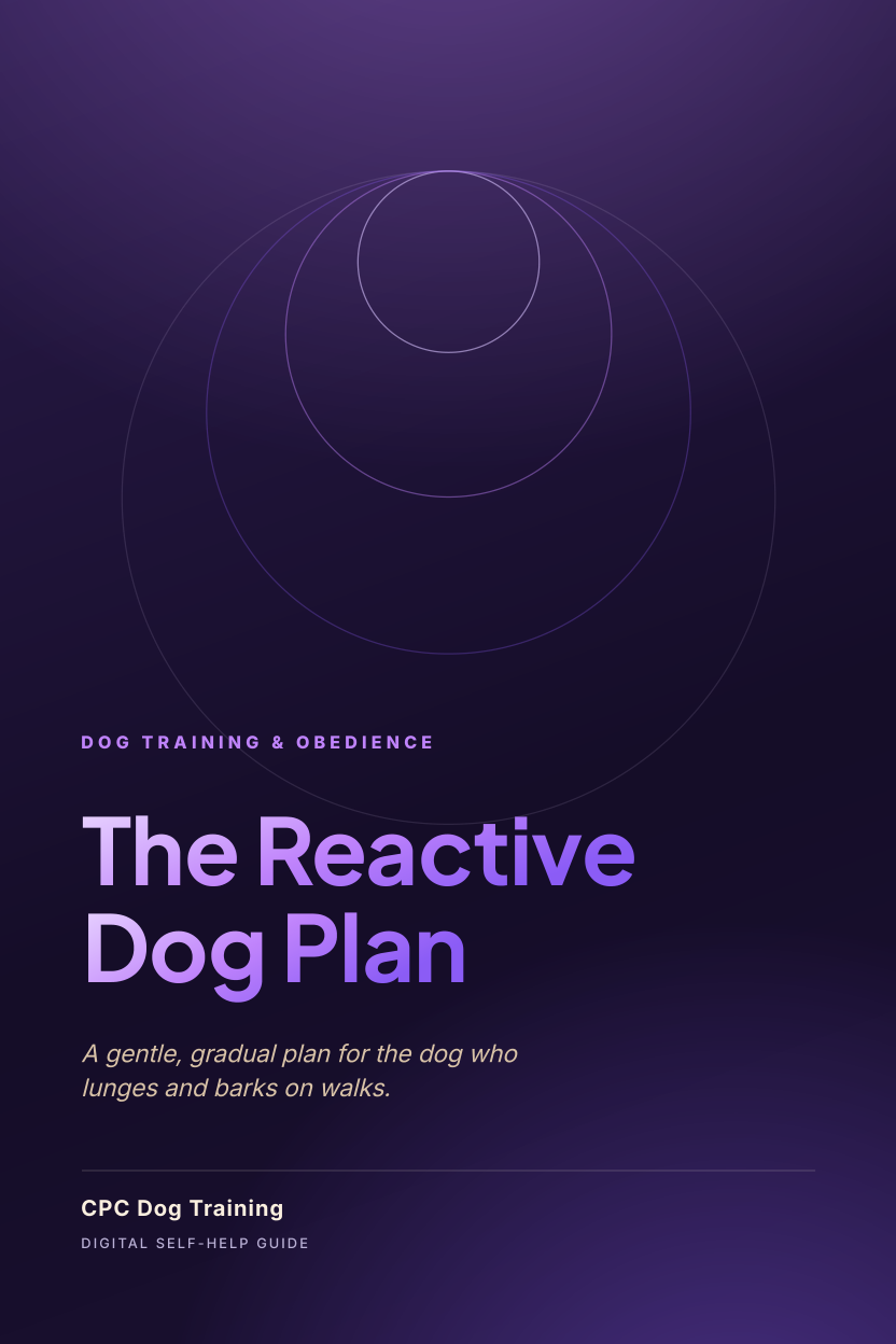 Cover of the The Reactive Dog Plan guide